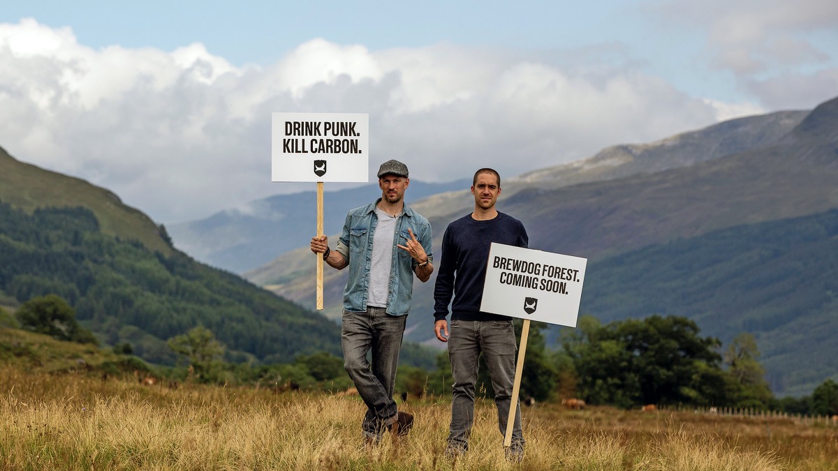 Brewdog are carbon negative - forest in Scotland