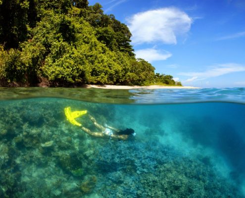 Snorkelling at Walindi, Papua New Guinea