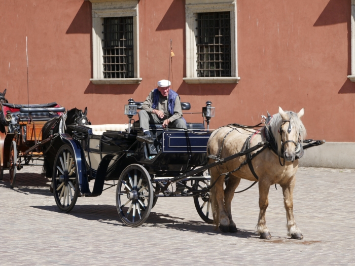 A local man waits patiently for tourists to give them a ride around Warsaw Old Town in a horse and cart