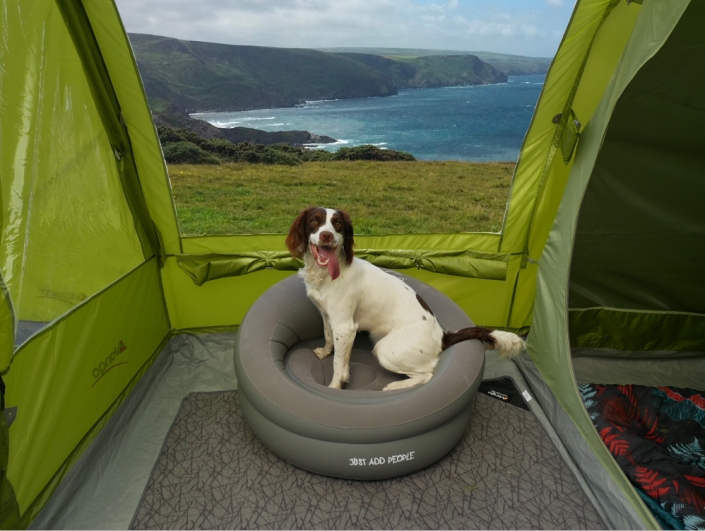 UK Dog-Friendly Coastal Campsites - Adventure Bagging