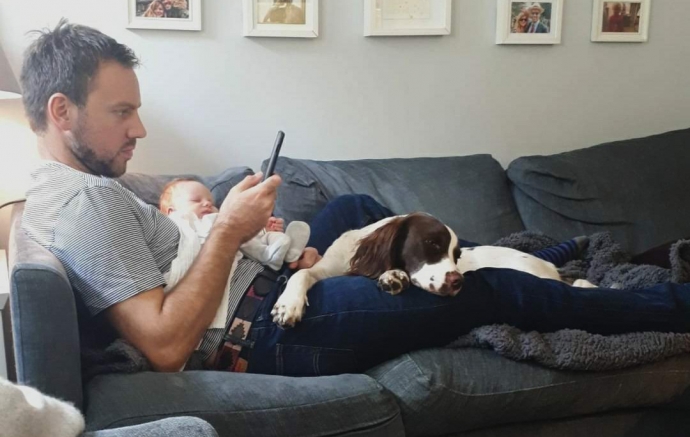 Dad and baby sofa time with Pip the Spaniel