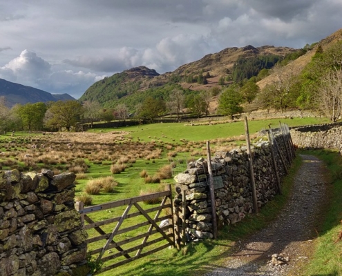Borrowdale Valley in April - Lake District