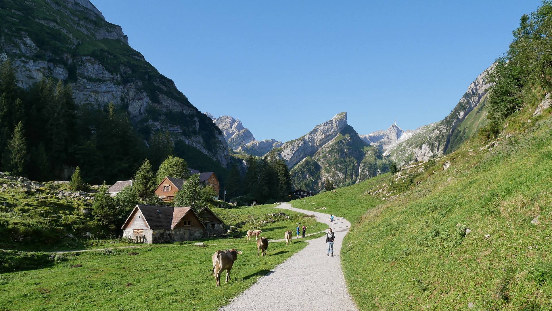 The path to Seealpsee