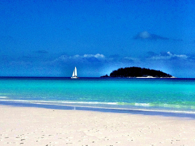 The view from Whitehaven Beach