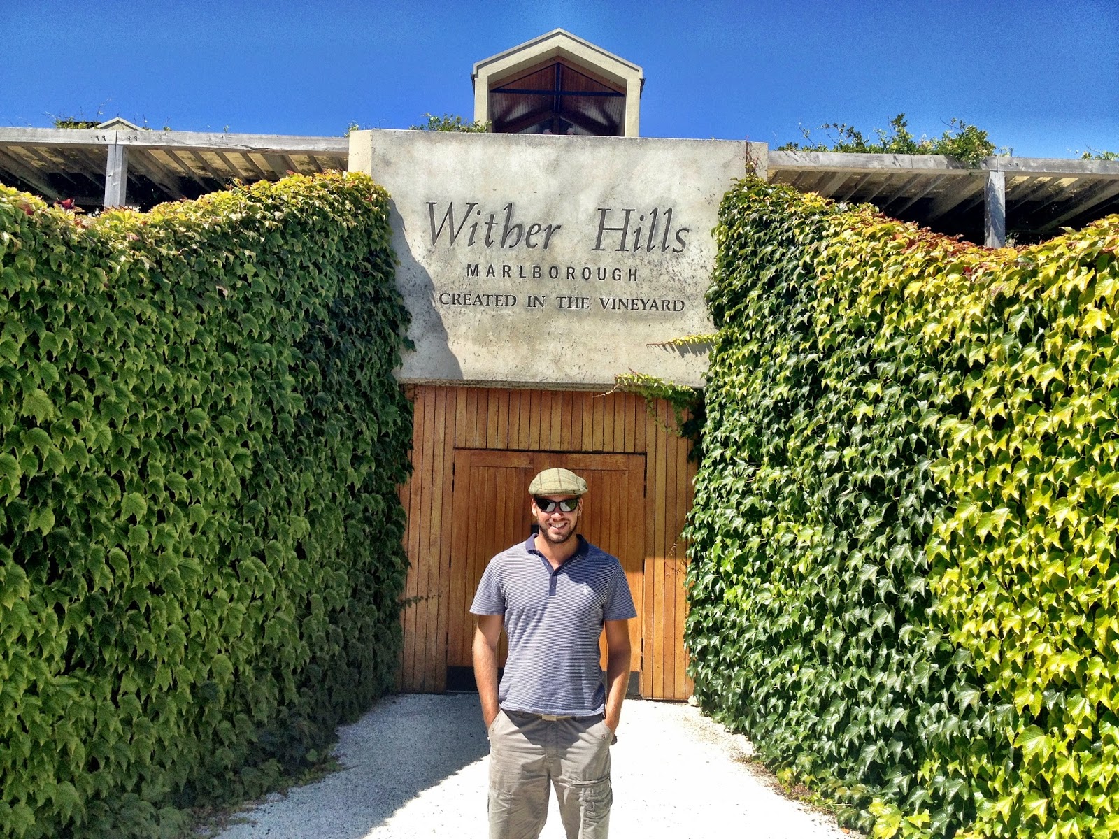 Outside Wither Hills vineyard, Marlborough, New Zealand