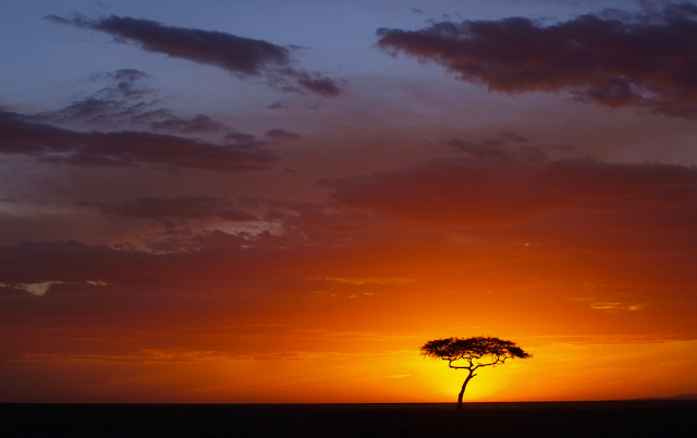 African sunset in Maasai Mara, Kenya