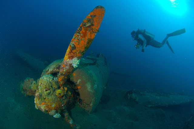 A Japaense Zero fighter wreck dive in Kimbe Bay, Papua New Guinea