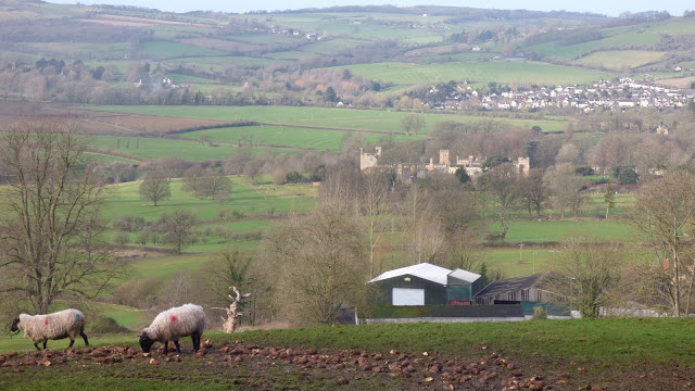 Overlooking Sudeley Castle and Winchcombe - Cotswolds Road Trip