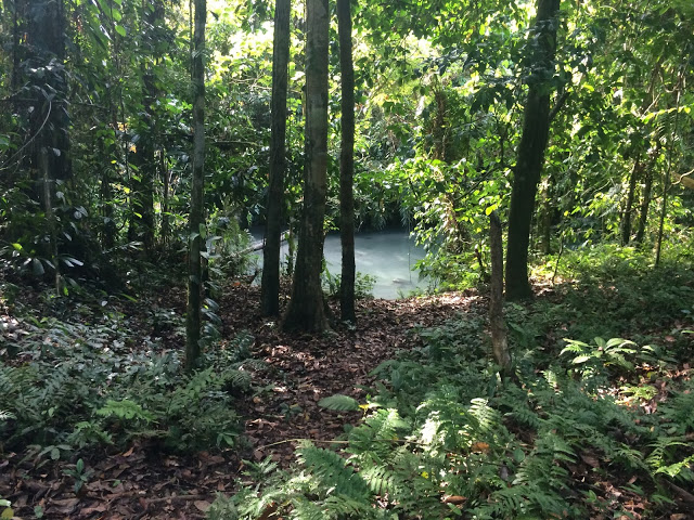 The 'milky' hot river, heated from a nearby volcano - Walindi, Papua New Guinea