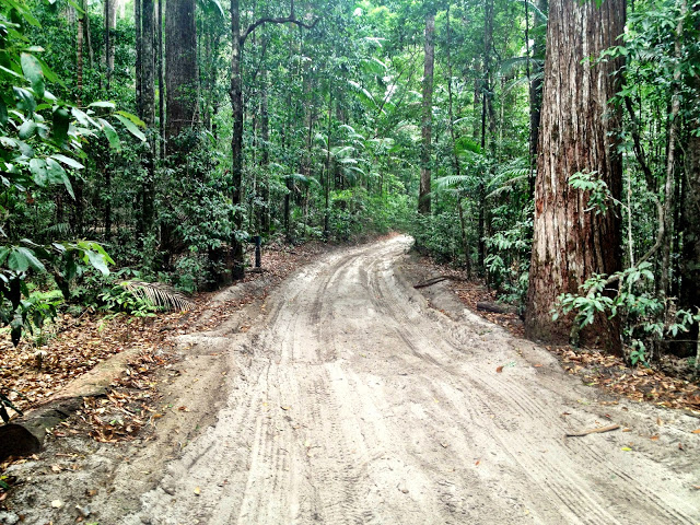 Sand tracks on Fraser Island