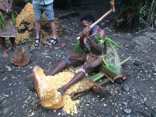 A man extracts sago from the palm tree - Tufi, Papua New Guinea