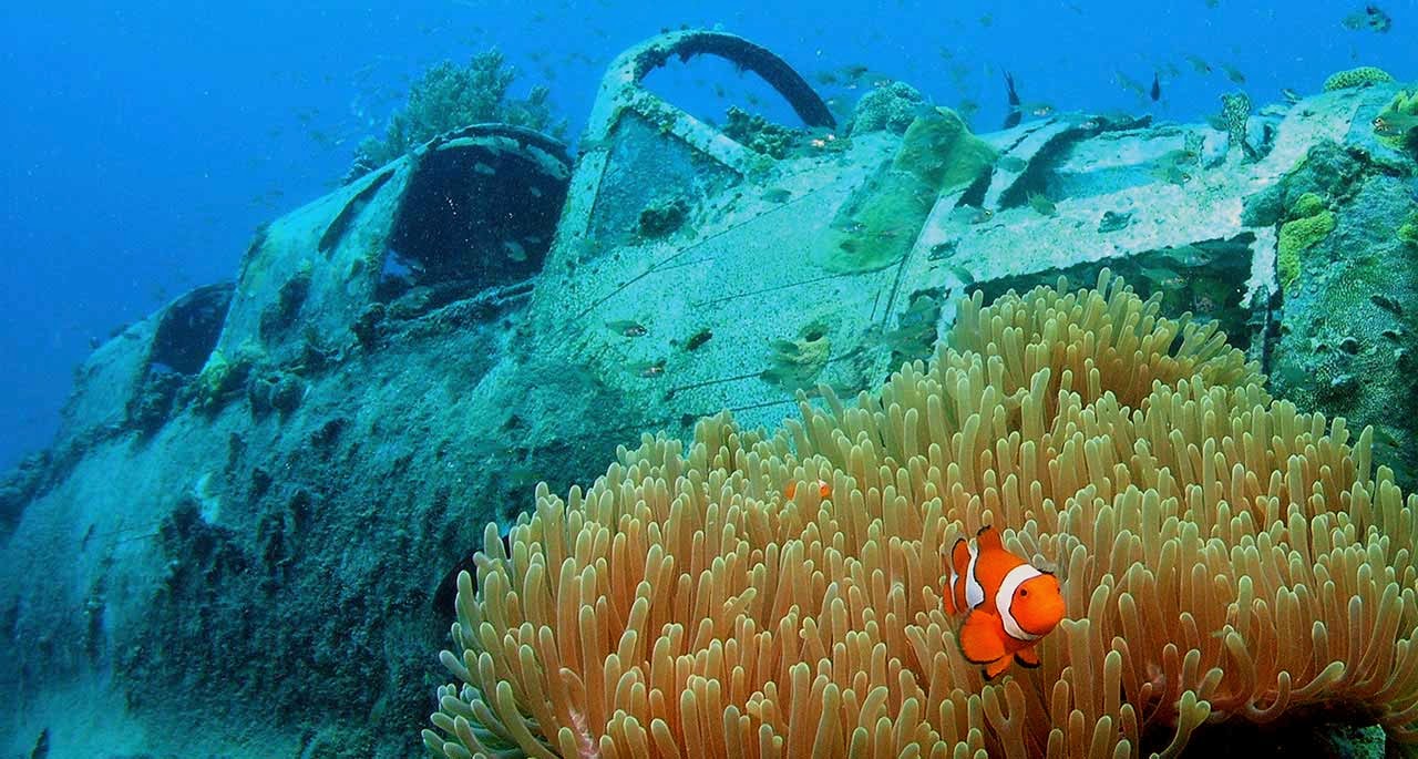 Papua New Guinea has some of the best diving in the world, including plenty of wrecks and clown fish