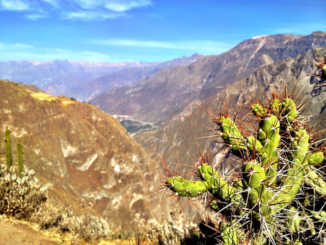 Exploring Colca Canyon, Peru