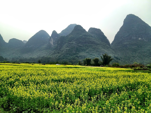 Yangshuo field, China