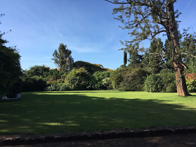 The main lawn at Huntingdon House, Satemwa tea estate, Malawi