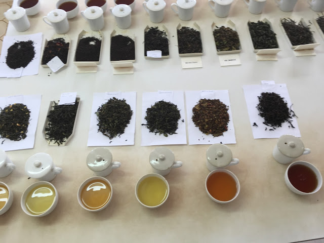 The selection of teas we tasted at the Satemwa tea factory, Malawi