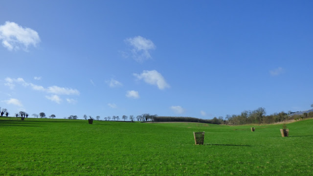The field view opposite The Hollow Bottom pub, Guiting Power, Cotswolds