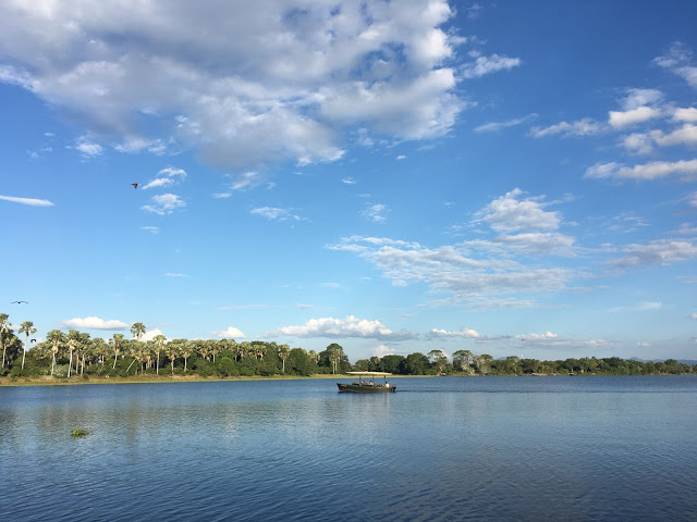 The view over the Shire River - Liwonde National Park - Malawi