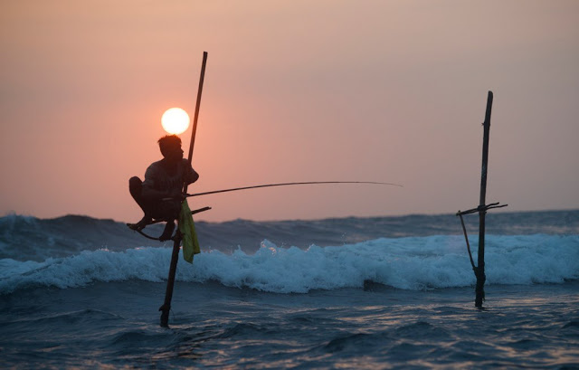 Sri Lankan Fishermen on stilts in the sea