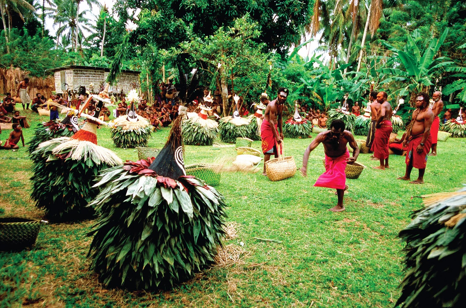 Tribal dancing in Tufi