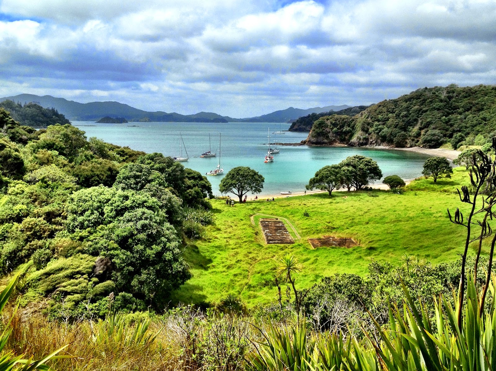 Scenery in the Bay of Islands