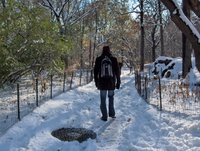 Snow in Central Park